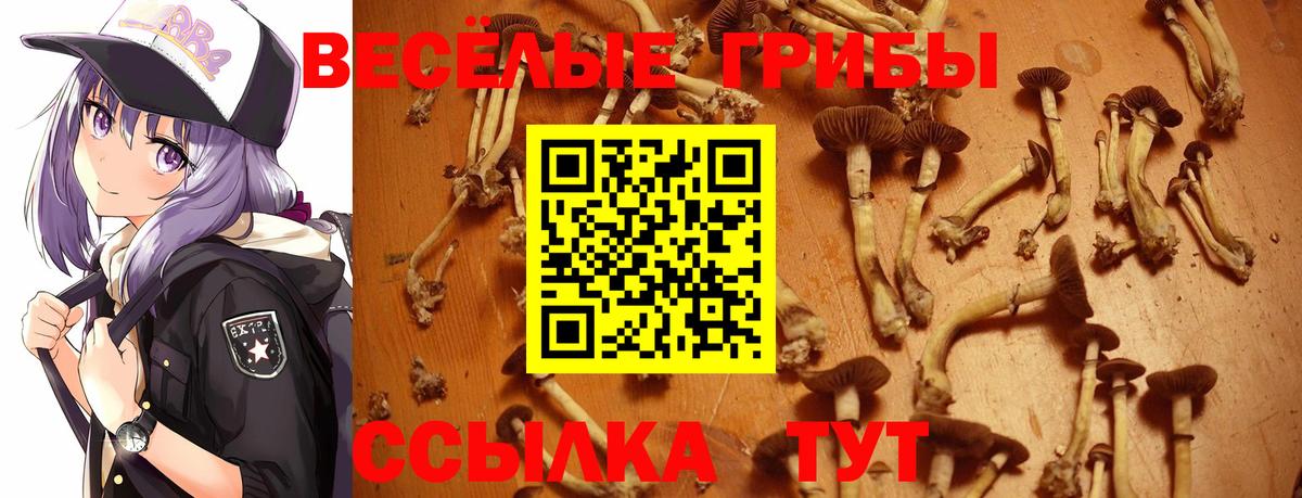 Галлюциногенные грибы мицелий Саки