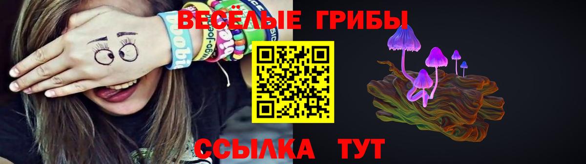 Галлюциногенные грибы прущие грибы  что такое наркотик  Саки  Вход с VPN 